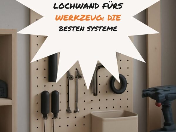 Lochwand fürs Werkzeug: Die besten Systeme im Test